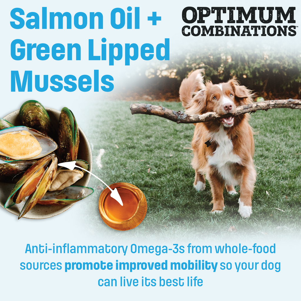 I18 Nutram Ideal Solution Support Weight Control