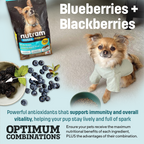 T28 Nutram Total Grain-Free Small & Toy Breed All Life Stages