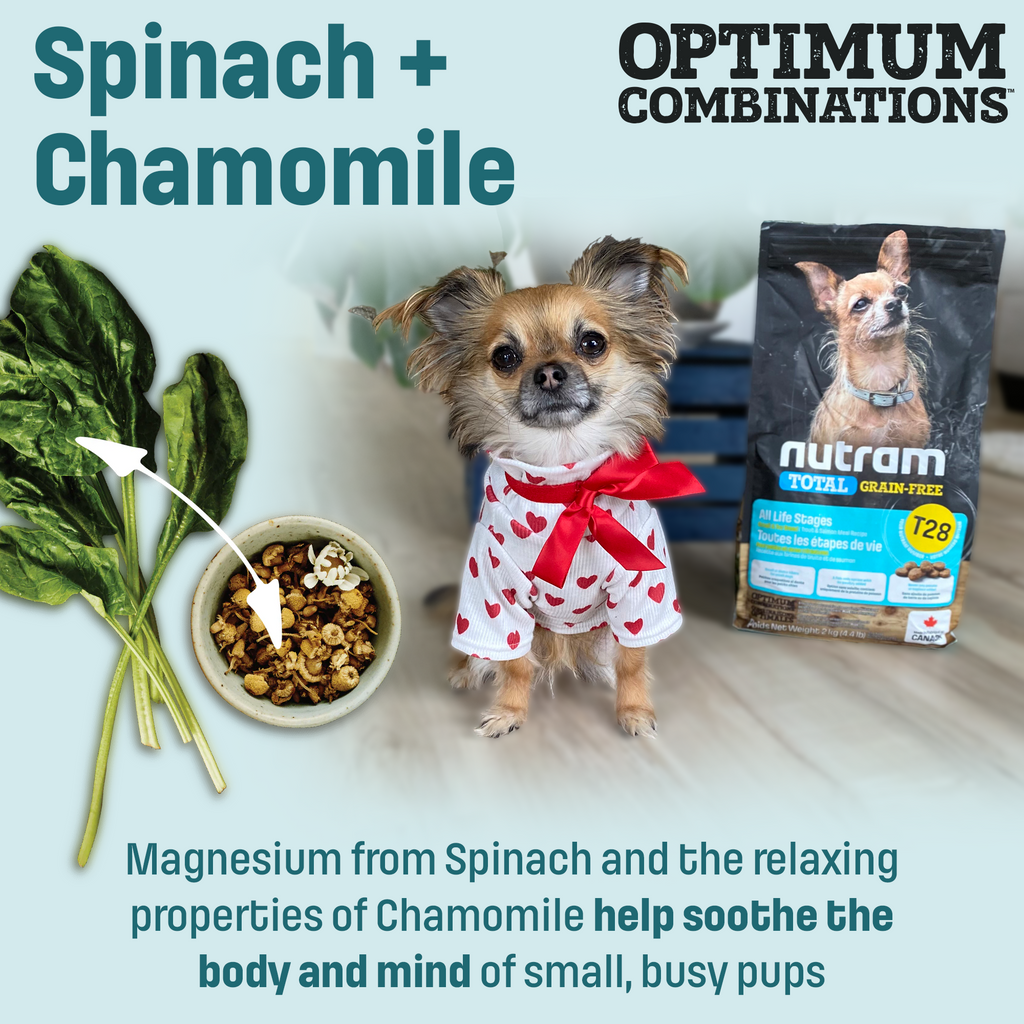 T28 Nutram Total Grain-Free Small & Toy Breed All Life Stages