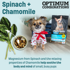 T28 Nutram Total Grain-Free Small & Toy Breed All Life Stages