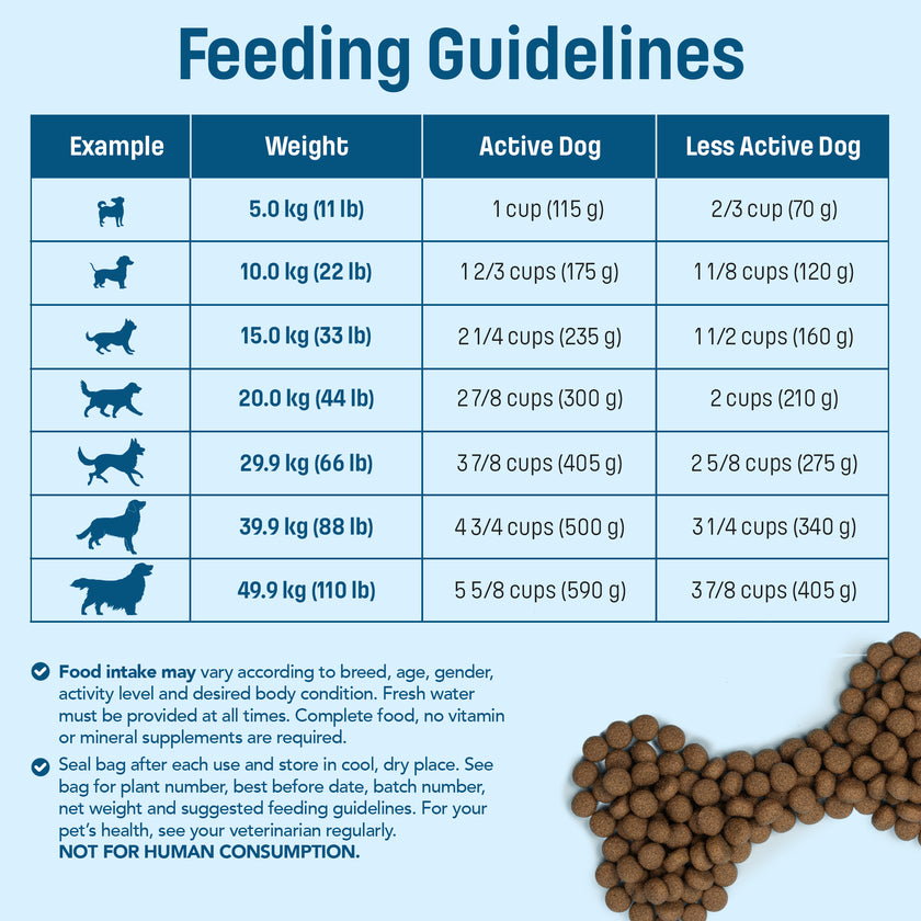 S10 Nutram Sound Balanced Wellness Senior