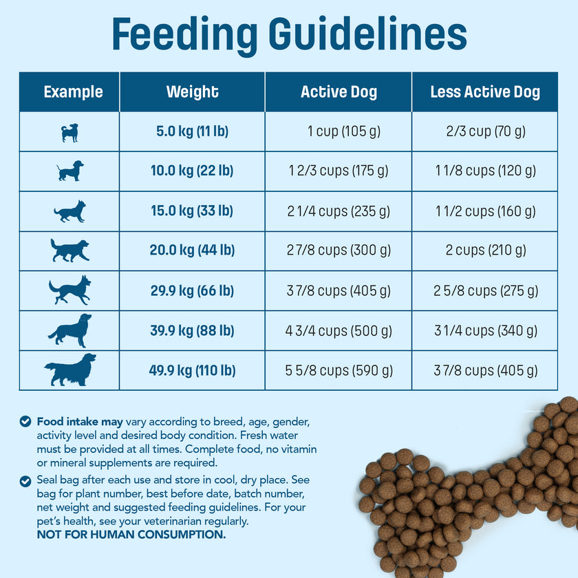S10 Nutram Sound Balanced Wellness Senior