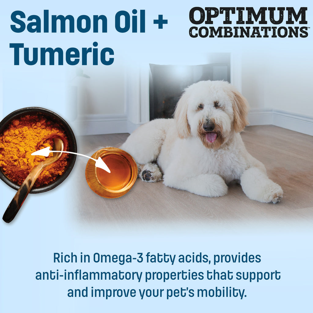 S10 Nutram Sound Balanced Wellness Senior