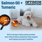 S10 Nutram Sound Balanced Wellness Senior