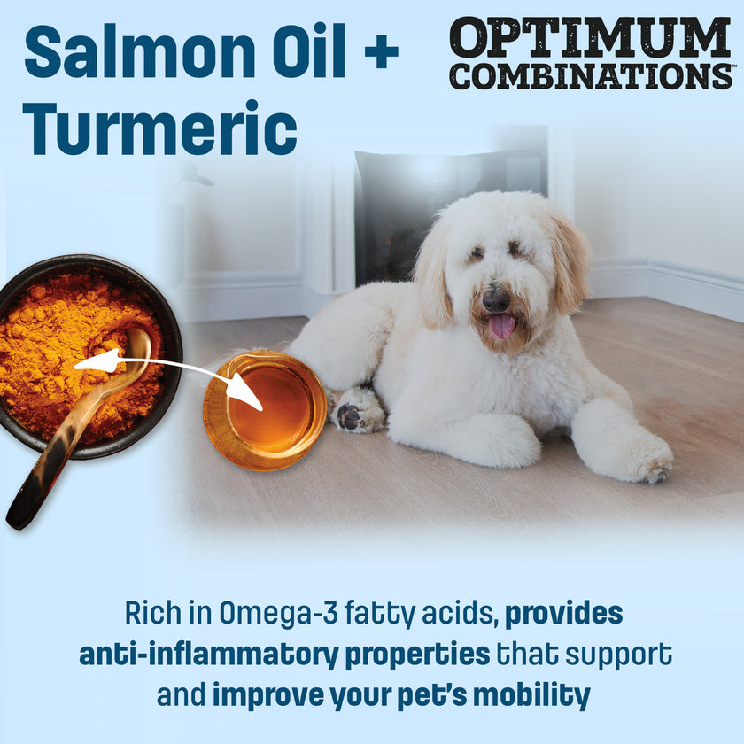 S10 Nutram Sound Balanced Wellness Senior