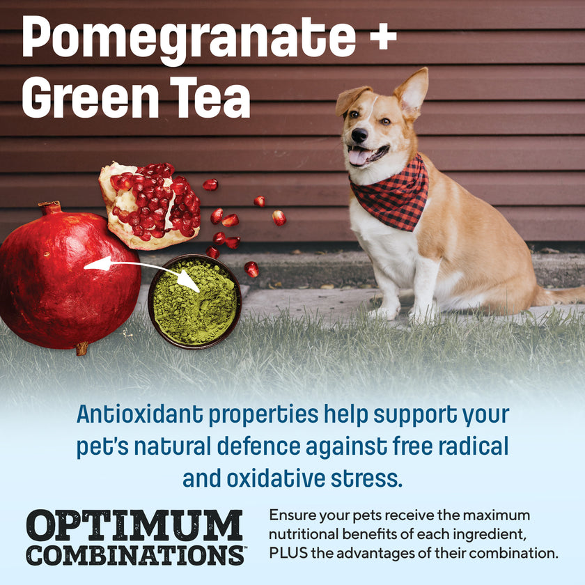 S10 Nutram Sound Balanced Wellness Senior