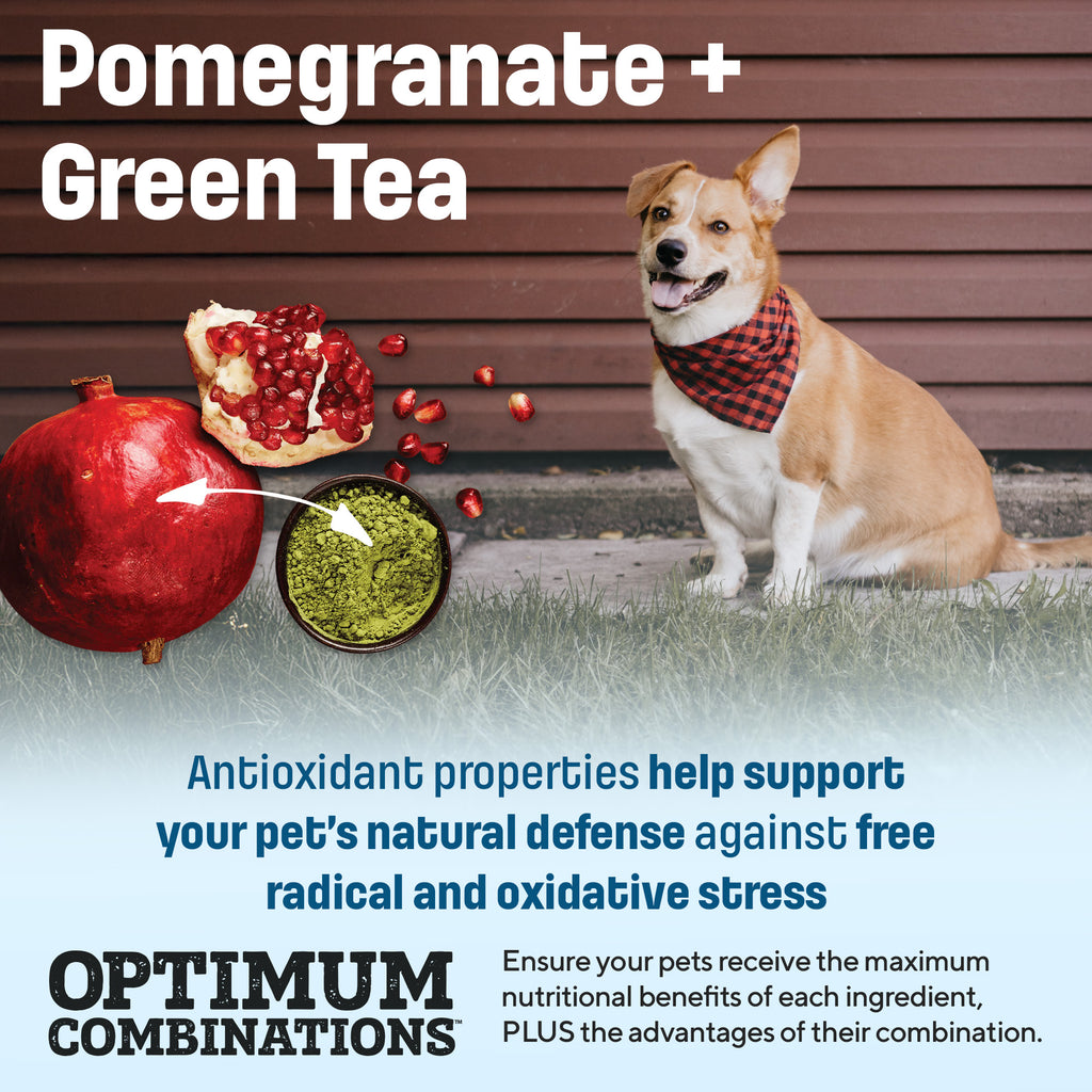 S10 Nutram Sound Balanced Wellness Senior