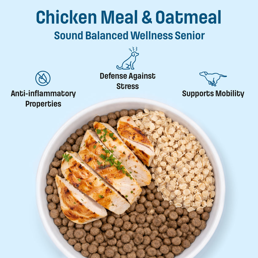 S10 Nutram Sound Balanced Wellness Senior