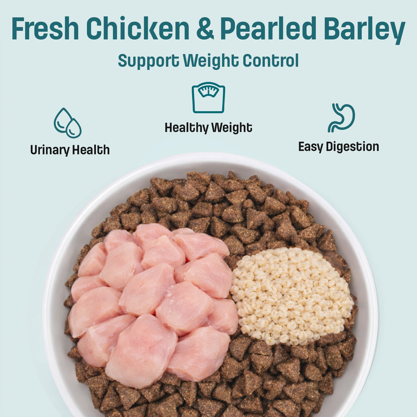 I12 Nutram Ideal Solution Support Weight Control