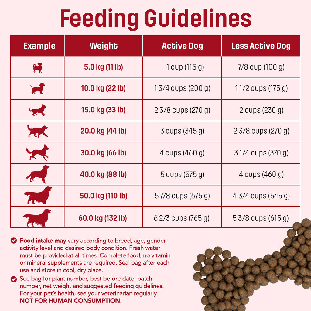 S46 Nutram Sound Balanced Wellness Adult