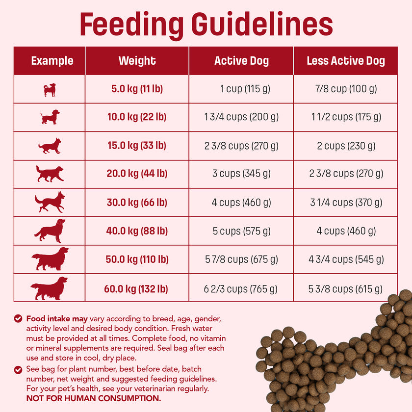 S46 Nutram Sound Balanced Wellness Adult