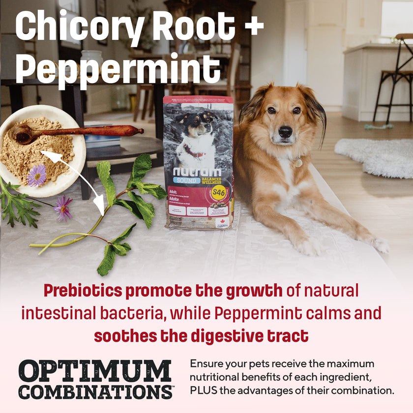 S46 Nutram Sound Balanced Wellness Adult