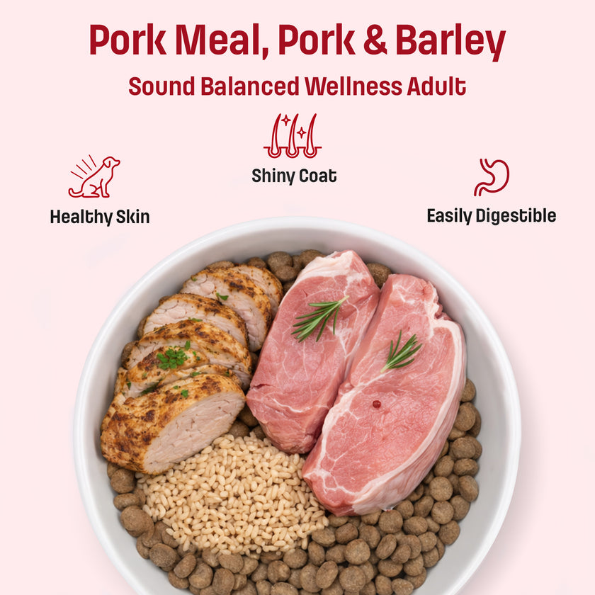 S46 Nutram Sound Balanced Wellness Adult