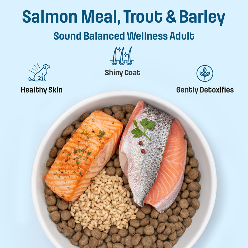 S49 Nutram Sound Balanced Wellness Adult