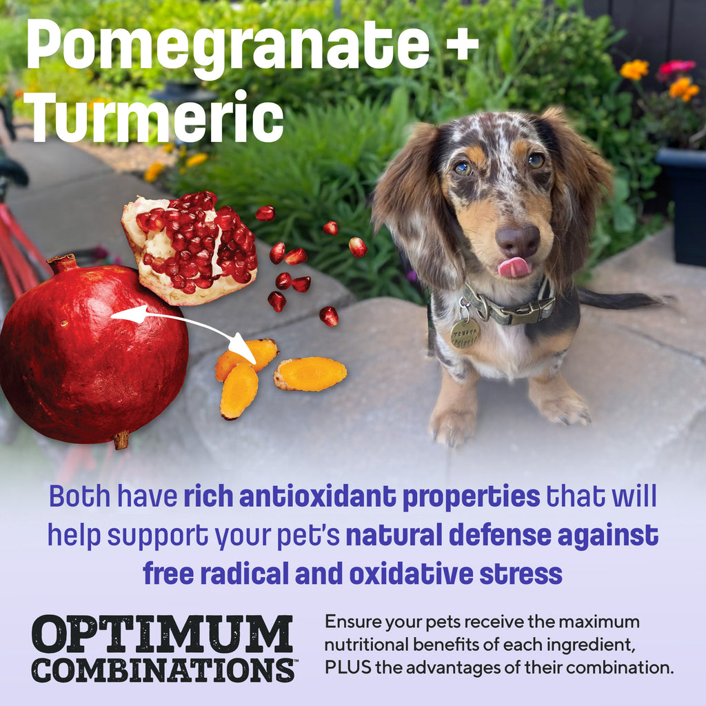 S7 Nutram Sound Balanced Wellness Small Breed Adult