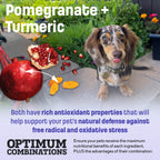 S7 Nutram Sound Balanced Wellness Small Breed Adult