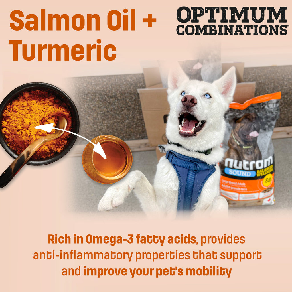 S8 Nutram Sound Balanced Wellness Large Breed Adult