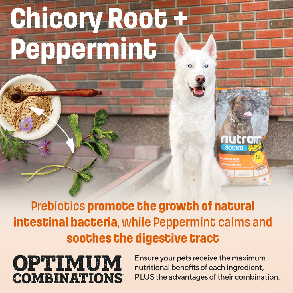 S8 Nutram Sound Balanced Wellness Large Breed Adult