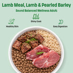 S9 Nutram Sound Balanced Wellness Adult