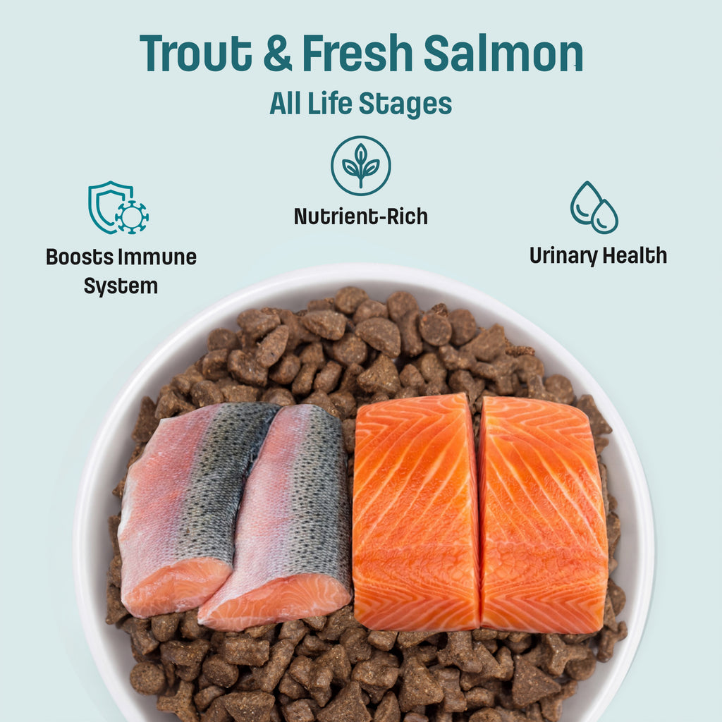 T24 Nutram Total Grain-Free All Life Stages