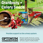 T24 Nutram Total Grain-Free All Life Stages