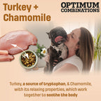 T27 Nutram Total Grain-Free Small & Toy Breed All Life Stages