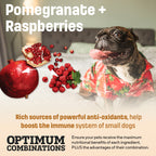 T27 Nutram Total Grain-Free Small & Toy Breed All Life Stages