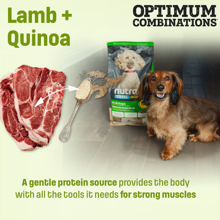 T29 Nutram Total Grain-Free Small & Toy Breed All Life Stages