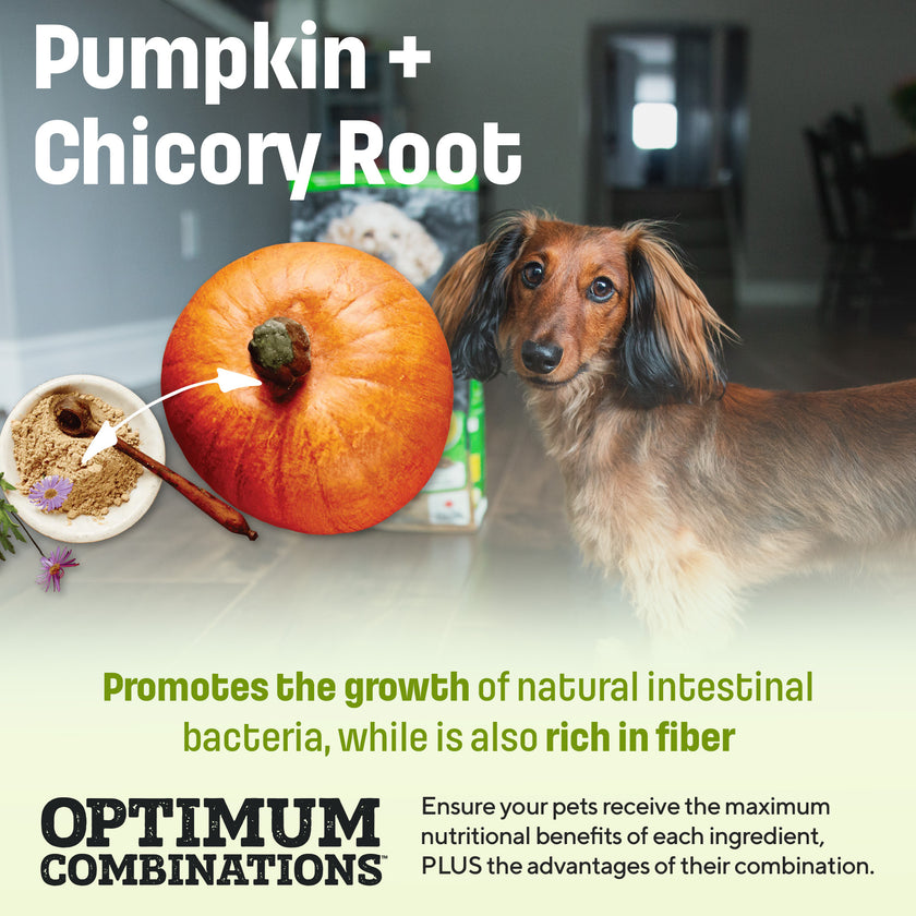 T29 Nutram Total Grain-Free Small & Toy Breed All Life Stages