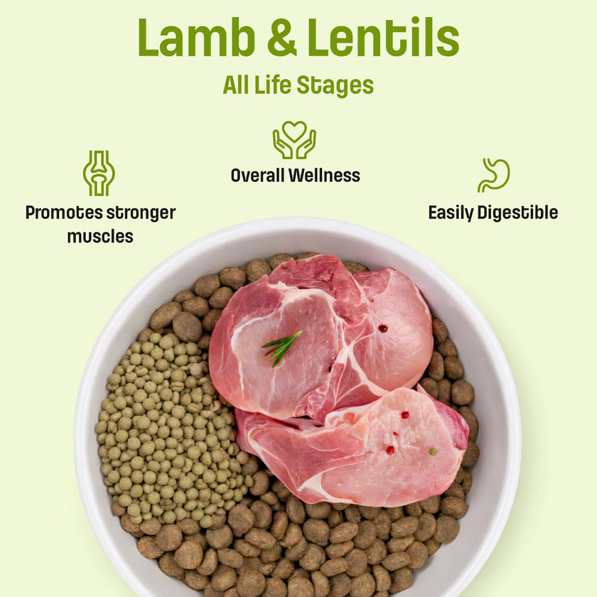 T29 Nutram Total Grain-Free Small & Toy Breed All Life Stages