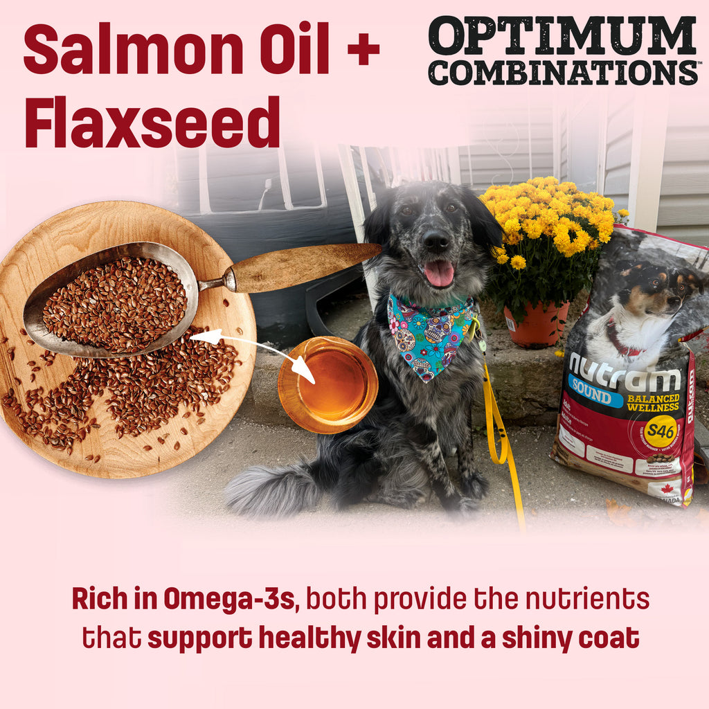 S46 Nutram Sound Balanced Wellness Adult